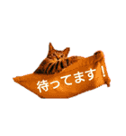 ちびたん パック 1（個別スタンプ：10）