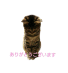 ちびたん パック 1（個別スタンプ：13）