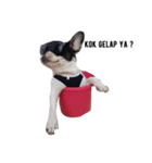 Obedient The Frenchie（個別スタンプ：7）