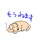 animal Hospital（個別スタンプ：25）