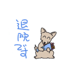 animal Hospital（個別スタンプ：34）