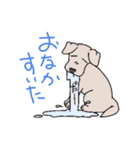 animal Hospital（個別スタンプ：36）