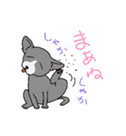 animal Hospital（個別スタンプ：39）