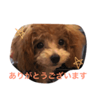 shell baby（個別スタンプ：4）