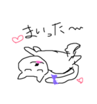 にゃあたん（個別スタンプ：5）