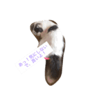 MofMofMof（個別スタンプ：14）