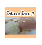 Do you want to eat in thailand（個別スタンプ：12）