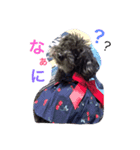 大平さんちのわんこ（個別スタンプ：5）