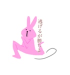とってもうさぎ（個別スタンプ：1）