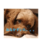 犬バカのスタンプ（個別スタンプ：5）