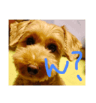 犬バカのスタンプ（個別スタンプ：6）