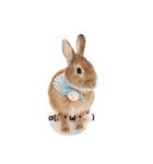 うさぎの八朔（個別スタンプ：13）