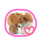 うさぎの八朔（個別スタンプ：14）
