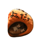 CHATORAN＆Minne（個別スタンプ：4）