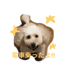 chai.u.x.u 2（個別スタンプ：2）