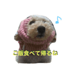 chai.u.x.u 2（個別スタンプ：4）
