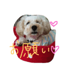 chai.u.x.u 2（個別スタンプ：7）