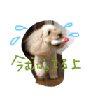 chai.u.x.u 2（個別スタンプ：8）