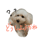 chai.u.x.u 2（個別スタンプ：9）