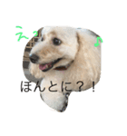 chai.u.x.u 2（個別スタンプ：13）