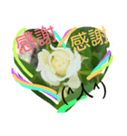 お花逹（個別スタンプ：1）