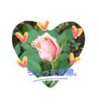 お花逹（個別スタンプ：2）
