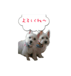 みんないつも一緒（個別スタンプ：14）
