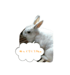 みんないつも一緒（個別スタンプ：22）