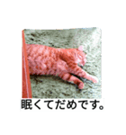もんとら2（個別スタンプ：3）