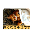 もんとら2（個別スタンプ：7）
