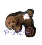 つくね＆もなか（個別スタンプ：2）