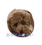 つくね＆もなか（個別スタンプ：6）
