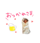 ひまちゃん新生児期（個別スタンプ：6）
