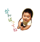 かんたくんのスタンプ（個別スタンプ：24）