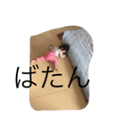 子供の手（個別スタンプ：1）