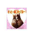 関西弁を話す我が家のニャン子2（個別スタンプ：1）