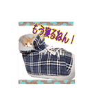関西弁を話す我が家のニャン子2（個別スタンプ：3）