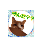 関西弁を話す我が家のニャン子2（個別スタンプ：4）