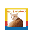 関西弁を話す我が家のニャン子2（個別スタンプ：5）