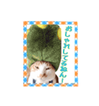 関西弁を話す我が家のニャン子2（個別スタンプ：6）