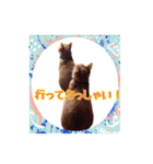 関西弁を話す我が家のニャン子2（個別スタンプ：19）