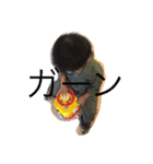 Kame kame boys（個別スタンプ：11）