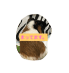 もるさん日記②（個別スタンプ：4）