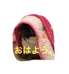もるさん日記②（個別スタンプ：8）