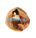もるさん日記②（個別スタンプ：10）