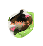 もるさん日記②（個別スタンプ：11）