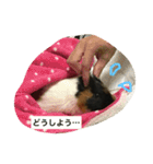 もるさん日記②（個別スタンプ：14）