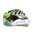 もるさん日記②（個別スタンプ：19）