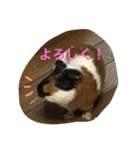 もるさん日記②（個別スタンプ：20）