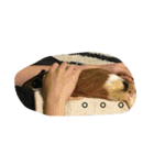 もるさん日記②（個別スタンプ：21）